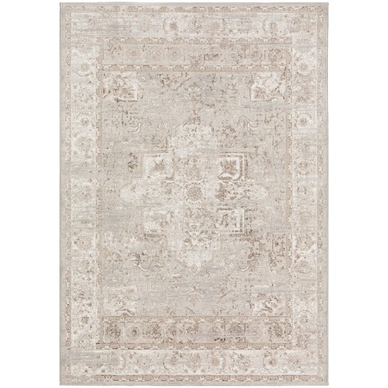 how to clean carpet without water-Rhodes RR6 Taupe Rug