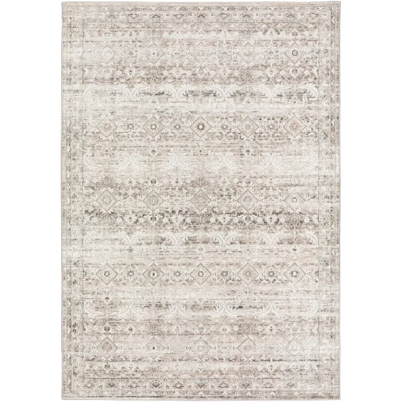 best carpet deodorizer for dogs-Rhodes RR7 Taupe Rug