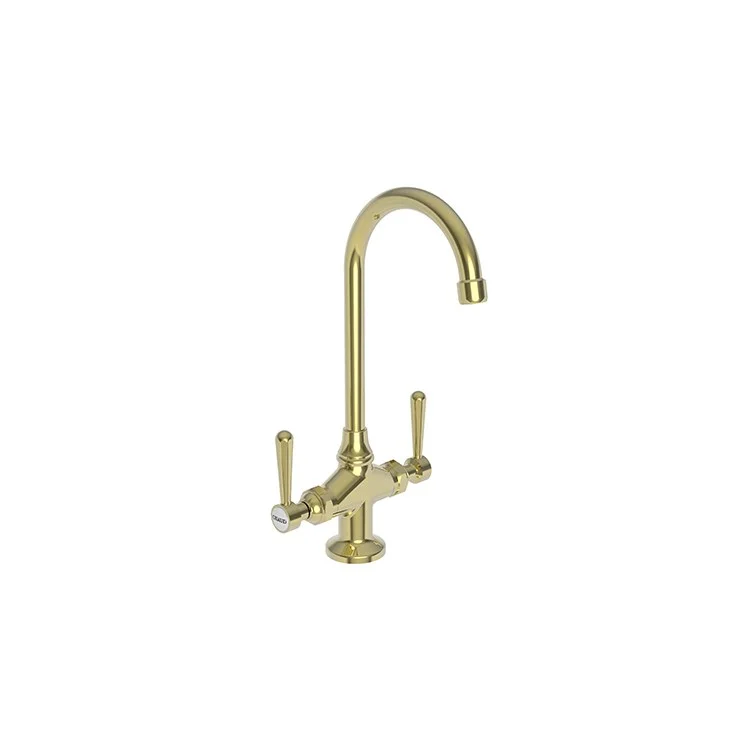 kitchen faucet online shopping-affordable meal planning tips-Bar Faucet Astaire 2 Lever ADA Polished Brass Uncoated Living Spout Height 10 Inch