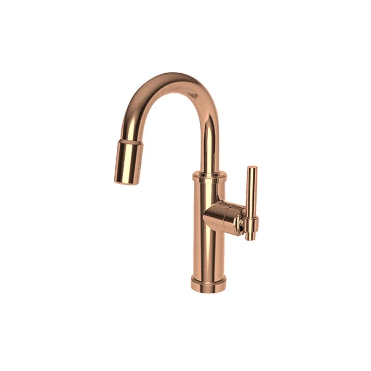 kitchen faucet mold resistant-best streaming devices 2025-Bar Faucet Seager 1 Lever ADA Antique Copper Pull Down Swivel Brass Spout Height 8-2/3 Inch 1.8 Gallons per Minute