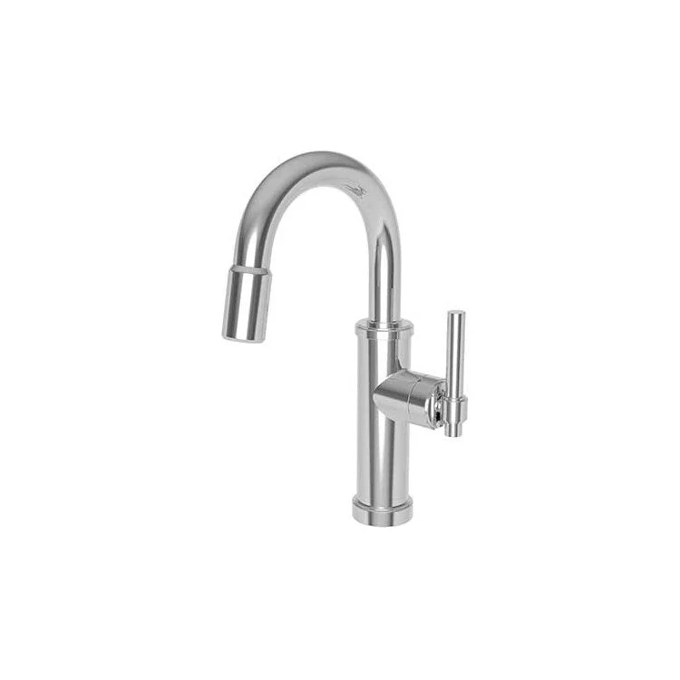 kitchen faucet free delivery-how to learn French online-Bar Faucet Seager 1 Lever ADA Polished Chrome Pull Down Swivel Brass Spout Height 8-2/3 Inch 1.8 Gallons per Minute