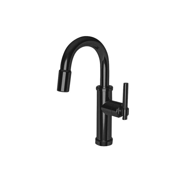 kitchen faucet Danze-top adventure sports gear-Bar Faucet Seager 1 Lever ADA Gloss Black Pull Down Swivel Brass Spout Height 8-2/3 Inch 1.8 Gallons per Minute