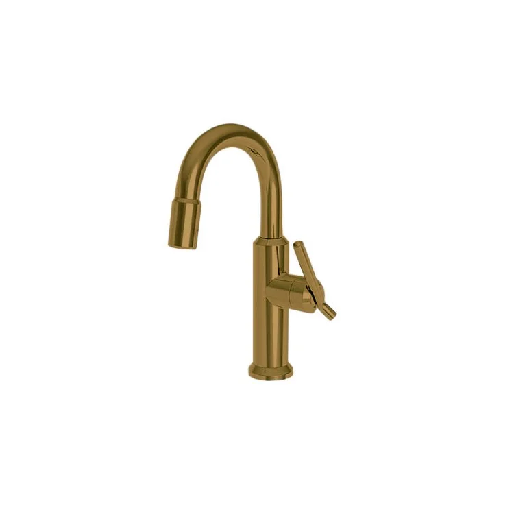 kitchen faucet twist handle-best free graphic templates-Bar Faucet Jeter 1 Lever ADA Forever Brass PVD Pull Down Swivel Brass Spout Height 8-2/3 Inch 1.8 Gallons per Minute