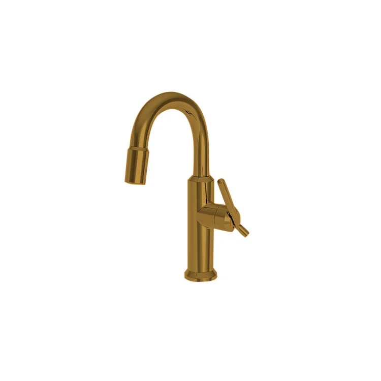 kitchen faucet with filter-how to create a website-Bar Faucet Jeter 1 Lever ADA Aged Brass Pull Down Swivel Brass Spout Height 8-2/3 Inch 1.8 Gallons per Minute