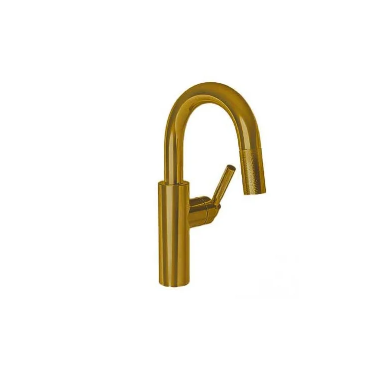 kitchen faucet shut-off valve-top minimalist office ideas-Bar Faucet Muncy 1 Lever ADA Forever Brass PVD Pull Down Swivel Brass Spout Height 7-1/2 Inch 1.8 Gallons per Minute