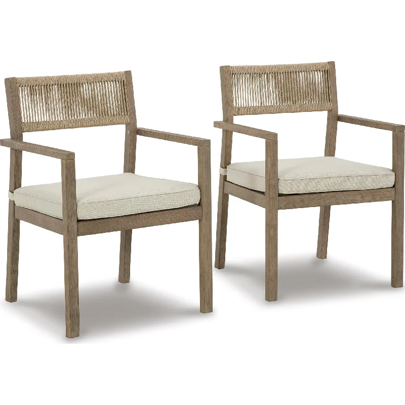 brass birch chair-Aria Plains Outdoor Chair with Cushion (set of 2) - Brown